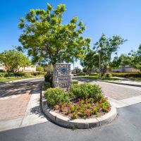 851 Christian Ct Upland CA - Photo 20